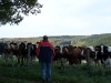 Siegen - Bild 17