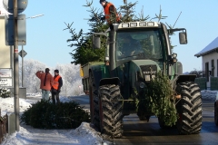 Aktion Nadelnder Tannenbaum 2009