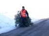 Tannenbaum 2009 - Bild 1