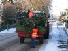 Tannenbaum 2009 - Bild 2