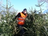 Tannenbaum 2009 - Bild 6