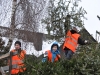 Tannenbaum 2010 - Bild 8
