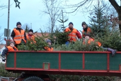 Aktion Nadelnder Tannenbaum 2011