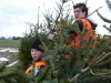 Tannenbaum 2011 - Bild 22